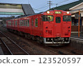 Tarako-colored diesel car stopping at the station③ 123520597