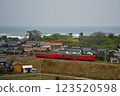 Tarako-colored diesel train traveling along the coast 123520598
