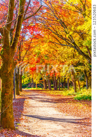 Osaka Castle Park in Autumn 123520683