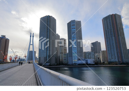Shinonome tower apartment and Tatsumi Sakurabashi Bridge (Koto Ward, Tokyo) 123520753
