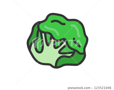 Illustration of lettuce icon (line drawing color) 123521046