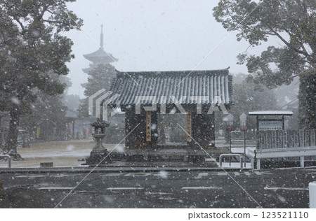 從本山寺仁王門望去的五重塔,四國朝聖之路上的第 70 座寺廟,被大雪遮蔽 從本山寺仁王門望去的五重塔,四國朝聖之路上的第 70 座寺廟,被大雪遮蔽 123521110