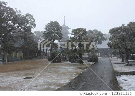 四國遍路第70座寺廟本山寺的本殿、五重塔、淨土堂被大雪覆蓋 123521135