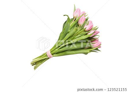 8 March, International Women's Day, bouquet of pink tulips, top view, isolated on white background, PNG 8 March, International Women's Day, bouquet of pink tulips, top view, isolated on white background, PNG 123521155