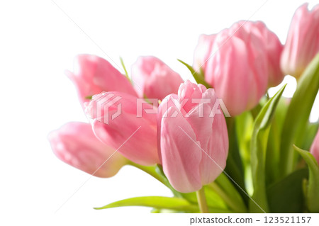 8 March, International Women's Day, bouquet of pink tulips, close up, isolated on white background, PNG 8 March, International Women's Day, bouquet of pink tulips, close up, isolated on white background, PNG 123521157