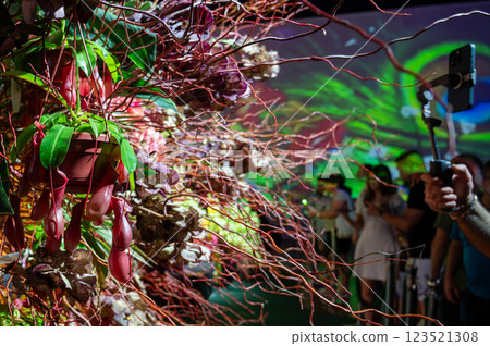 Flower arrangement of rare varieties of orchids. High quality photo 123521308