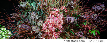 Flower arrangement of rare varieties of orchids. High quality photo 123521309