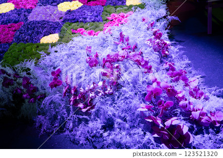 flower arrangement of purple orchids for a lantern. High quality photo flower arrangement of purple orchids for a lantern. High quality photo 123521320