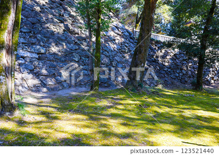 Stone wall and moss garden 123521440