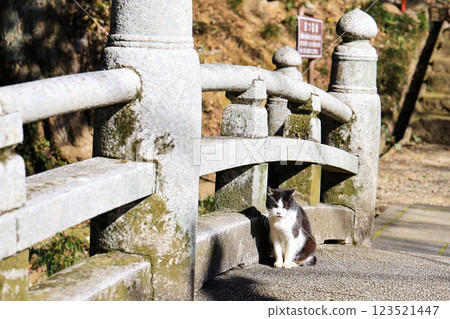 橋欄桿和貓 橋欄桿和貓 123521447