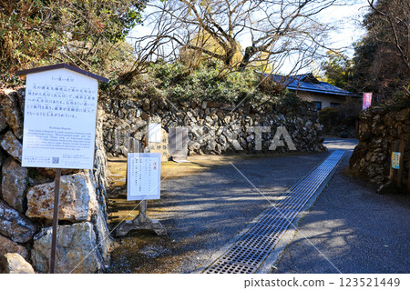 交錯虎口 123521449
