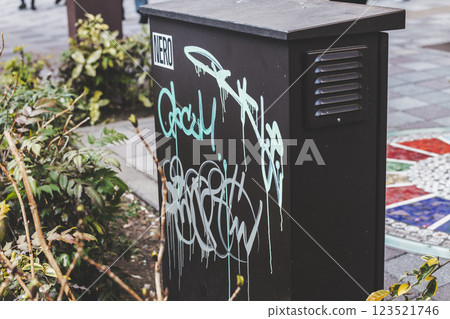 Electrical equipment covered in graffiti Electrical equipment covered in graffiti 123521746