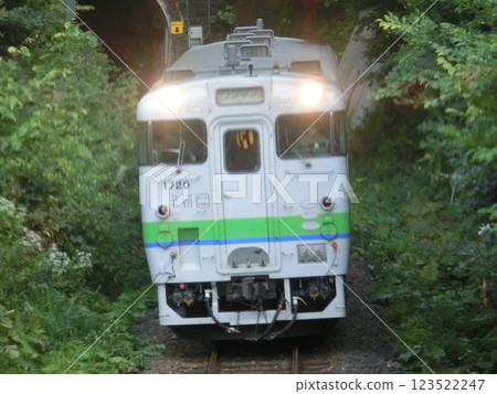 從隧道出來的本地火車(Kiha 40 系列、石北本線)(北海道) 從隧道出來的本地火車(Kiha 40 系列、石北本線)(北海道) 123522247