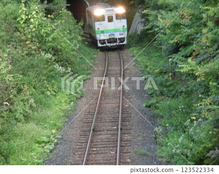 A local train coming out of a tunnel (Kiha 40 series, Sekihoku Main Line) (Hokkaido) 123522334