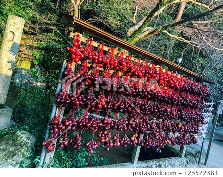 [God of learning] Dazaifu Tenmangu Shrine [Fukuoka Tourism] 123522381