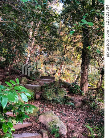 [God of learning] Dazaifu Tenmangu Shrine [Fukuoka Tourism] 123522384