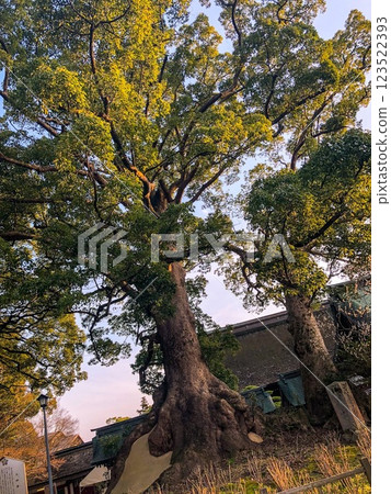 [學問之神] 太宰府天滿宮 [福岡旅遊] 123522393
