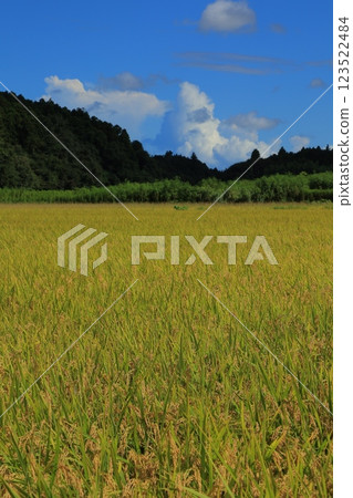 Summer blue sky and white clouds Summer blue sky and white clouds 123522484