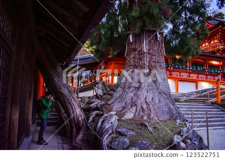 [奈良公園觀光] 東大寺、大佛、興福寺、鹿、南大門、春日大社、浮見堂 [平城京的靈場] 123522751