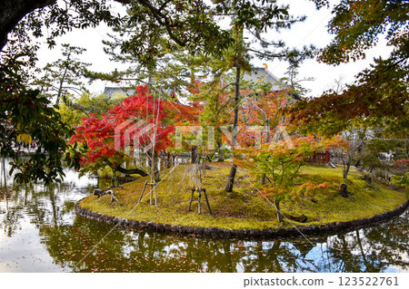 [奈良公園觀光] 東大寺、大佛、興福寺、鹿、南大門、春日大社、浮見堂 [平城京的靈場] 123522761
