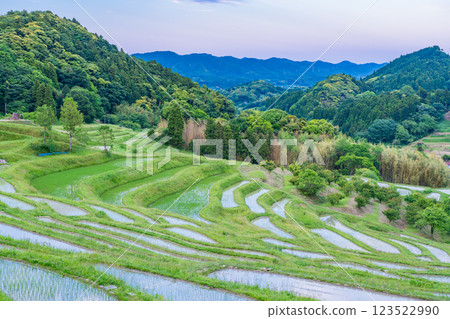 【千葉縣】插秧後的新綠色大山千枚田稻田 123522990