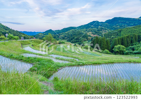 [Chiba Prefecture] Oyama Senmaida rice fields, with fresh greenery after rice planting is complete 123522993