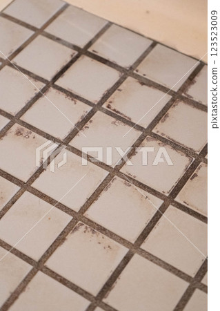 Photo of old tile floor in bathroom Photo of old tile floor in bathroom 123523009