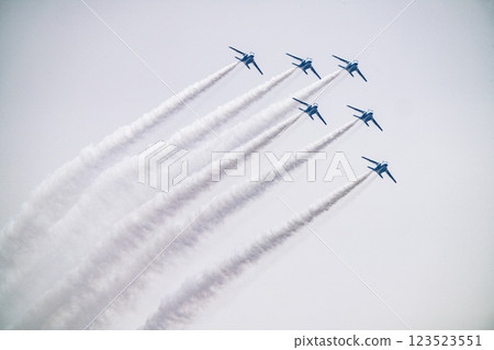Blue Impulse Komaki City 70th Anniversary Air Show 123523551