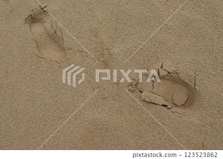 Footprints in the sand dunes, desert 123523862