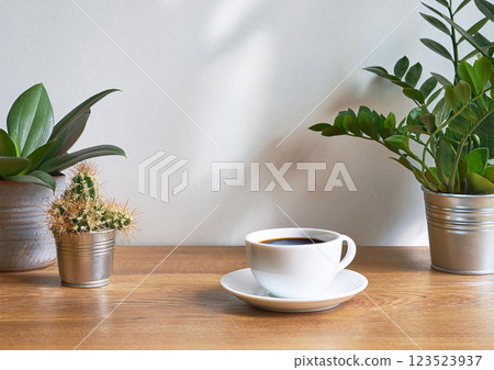 黑咖啡和室內植物 黑咖啡和室內植物 123523937