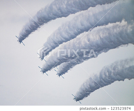 Blue Impulse Komaki City 70th Anniversary Air Show 123523974