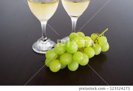 葡萄酒 白酒 兩隻酒杯 葡萄酒和葡萄 葡萄 酒杯 葡萄酒 白酒 兩隻酒杯 葡萄酒和葡萄 葡萄 酒杯 123524273