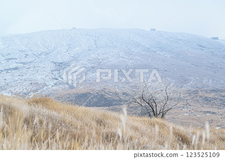 霜凍草原與阿蘇山 - 阿甦的冬日風景 霜凍草原與阿蘇山 - 阿甦的冬日風景 123525109