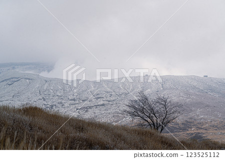 Hoarfrost-covered grassland and Mount Aso - Winter scenery of Aso 123525112