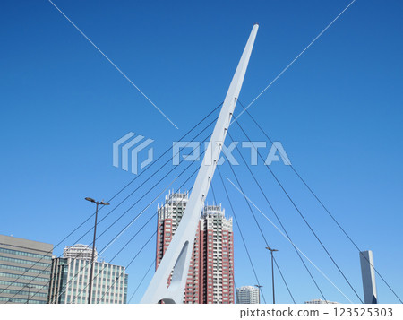 Teleport Bridge and skyscrapers | Aomi 123525303
