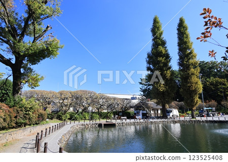 板橋區赤塚市赤塚溜池公園的風景 板橋區赤塚市赤塚溜池公園的風景 123525408