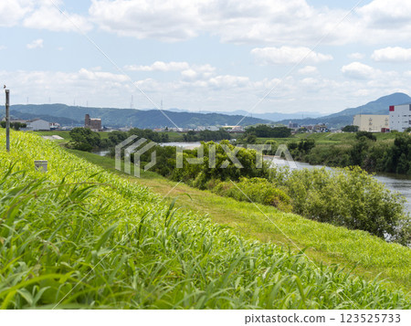 夏日新綠覆蓋的大和川 123525733
