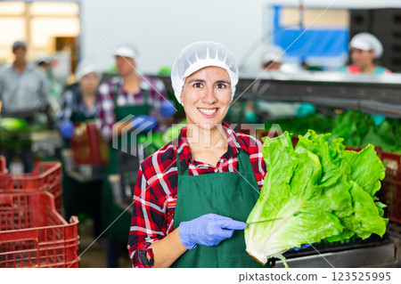 Portrait of positive woman vegetable factory worker with lettuce Portrait of positive woman vegetable factory worker with lettuce 123525995