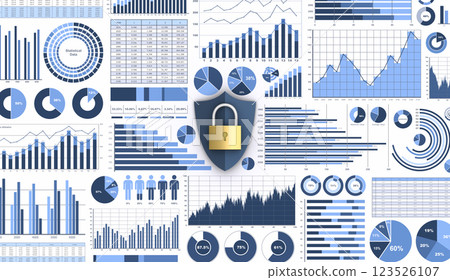 Business data and shield and padlock, business information security image 123526107