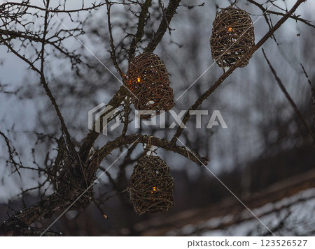 Holiday decorations on tree branches in a winter landscape during dusk Holiday decorations on tree branches in a winter landscape during dusk 123526527