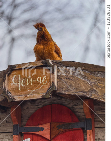 Brown chicken perched atop a wooden sign in a rustic outdoor setting Brown chicken perched atop a wooden sign in a rustic outdoor setting 123526531