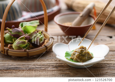 Early spring ingredients: Butterbur miso (butterbur miso) 123526700