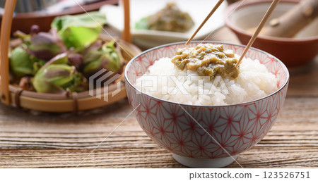 Butterbur miso on rice Butterbur miso on rice 123526751