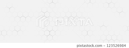 Minimal White Hexagonal Abstract Background Minimal White Hexagonal Abstract Background 123526984