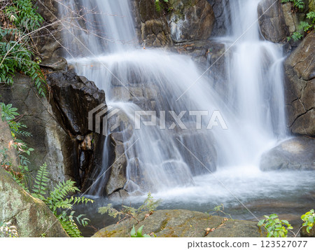 A beautiful waterfall with stringy water captured with a slow shutter speed 123527077