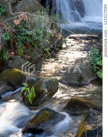 The beautiful, smooth flow of a clear stream captured with a slow shutter speed 123527099