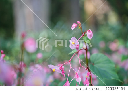 Pretty pink beadlets Pretty pink beadlets 123527464