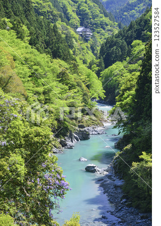 祖谷川被新綠包圍 123527584