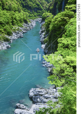 Fresh greenery of Oboke Gorge and sightseeing boats passing by 123527585