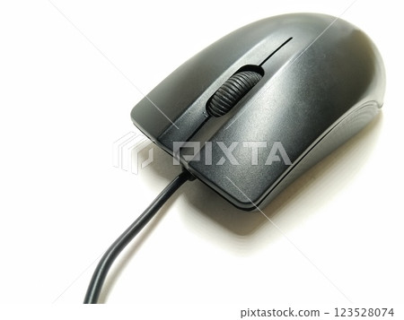 A picture of computer mouse isolated on a white background A picture of computer mouse isolated on a white background 123528074